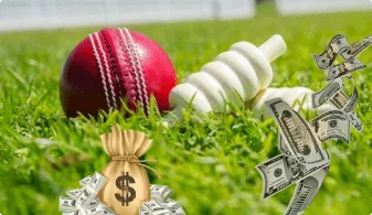 Cricket Betting Image